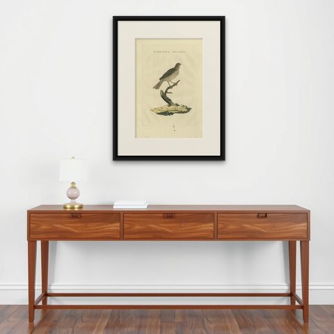 Antique Bird Print of the Corn Bunting by Sepp & Nozeman, 1829, shown framed on a wall
