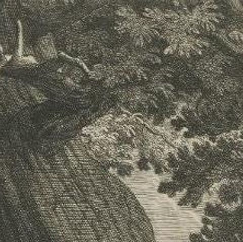 Antique Print of an Indian Wolf by Ridinger, c.1745, close-up 1