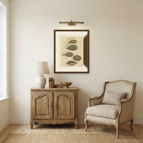 Five Soles and Flatfish, Antique Bertuch Print, circa 1815, shown framed in a room