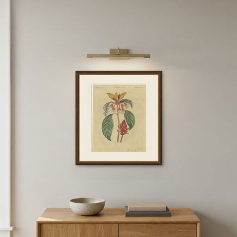 Flowering Shrub with Red Blossom, Antique Bertuch Print, circa 1815, shown framed on a wall
