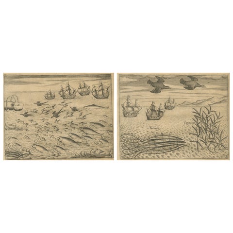 Pair of De Bry Engravings of Birds, Fish & Sea Plants en Route to India, c.1598