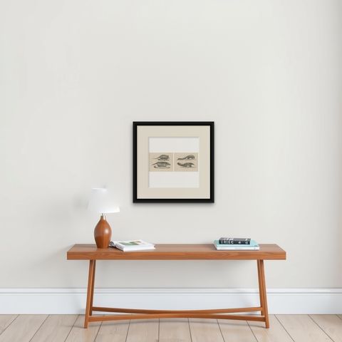 Antique Armadillo, Pangolin & Anteater Lithographs, Brodtmann c.1830, shown framed on a wall