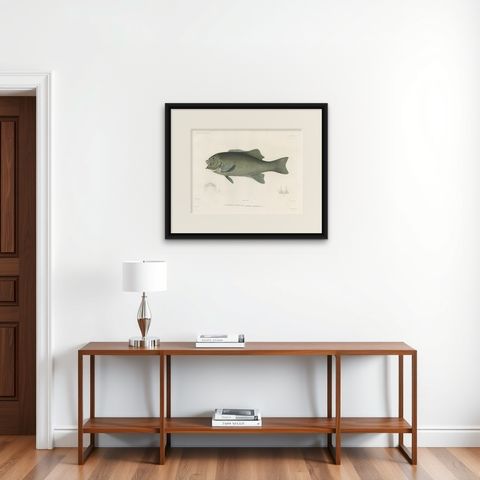 Antique Print of Fréminville’s Reef Fish, Hand-Colored French Lithograph, 1846, shown framed on a wall