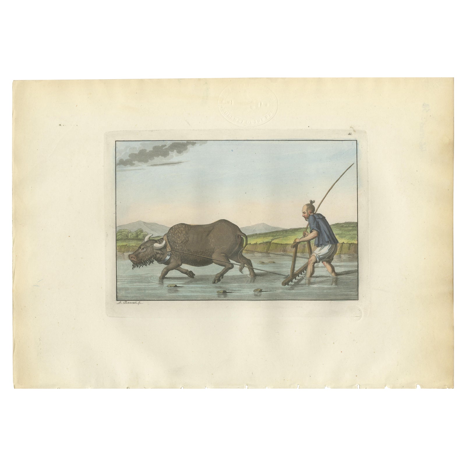 Chinese Farmer with Water Buffalo, Agricultural Scene, Ferrario Print of 1815