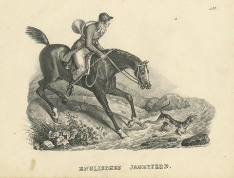Antique Print of an English Hunting Horse, view 3