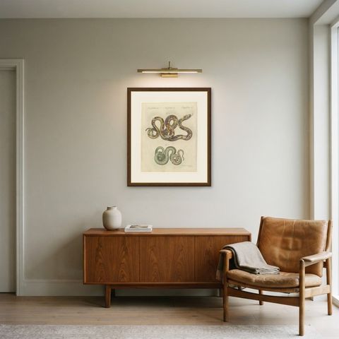 Two Patterned Snakes in Coils, Antique Bertuch Print, Vienna, circa 1805, shown framed in a room