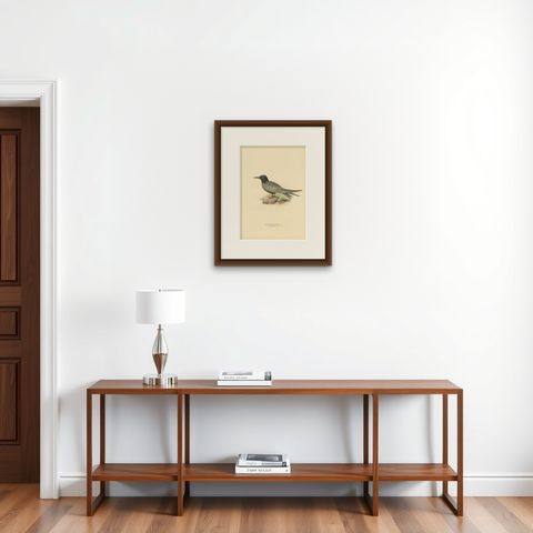 Antique Bird Print of the Black Tern by Von Wright, 1917, shown framed on a wall