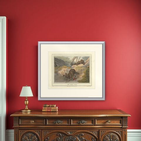 Foreign Field Sports: The Bear Triap Aquatint by Dubourg, Merke & Howitt, 1813, shown framed on a wall