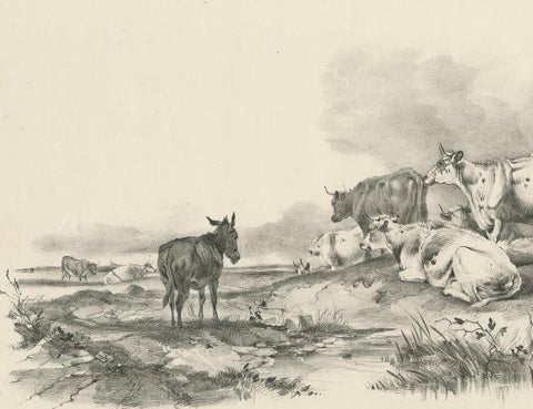 No. 29 Antique Print of Cattle and a Donkey by Cooper, 1839, view 3