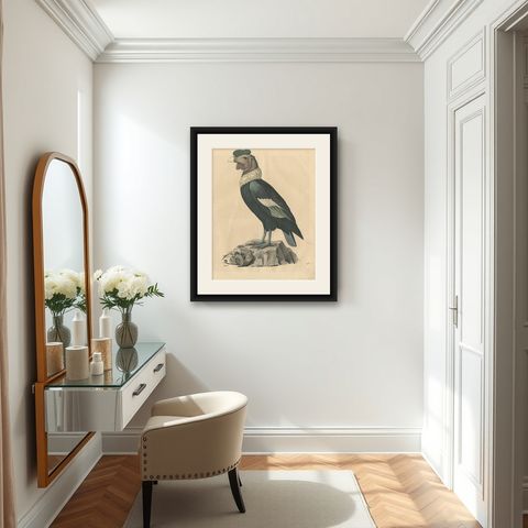 Condor Vulture Antique Lithograph Print, 1847, Detailed Ornithology, shown framed in a room