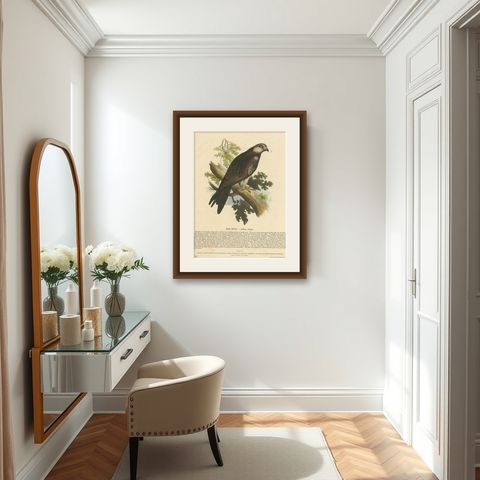 The Kite, Bird of Prey, Antique Wood Engraving, circa 1860, shown framed in a room
