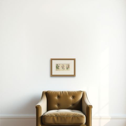 1897 Antique Botanical Prints, Cornflower, Immortelle, Canterbury Bells, shown framed on a wall