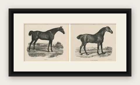 Johnny & An Old Hunter, Pair of Antique Sporting Horse Lithographs c.1840, shown framed