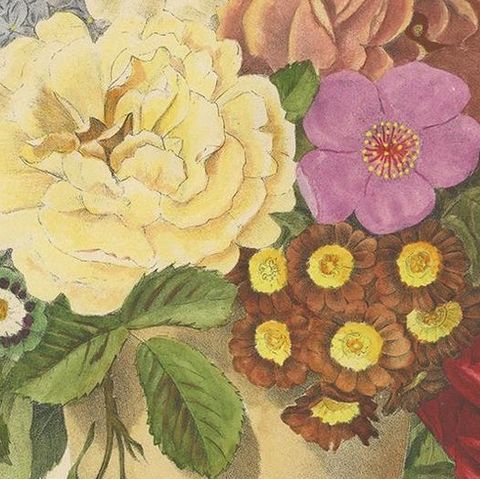 Antique Print of a Flower Bouquet by Villain, circa 1850, close-up 2