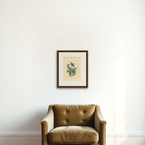 1858 Hand-Colored Lithograph of Flower Beetles on a Blossom, shown framed on a wall