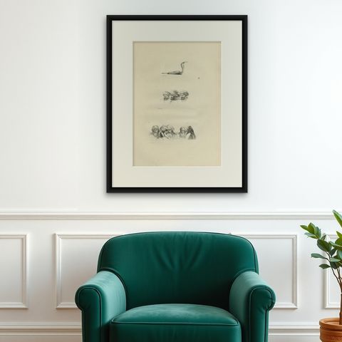 Comparative Head Studies and Cobra, Egypt, Antique Engraving, c.1802, shown framed on a wall