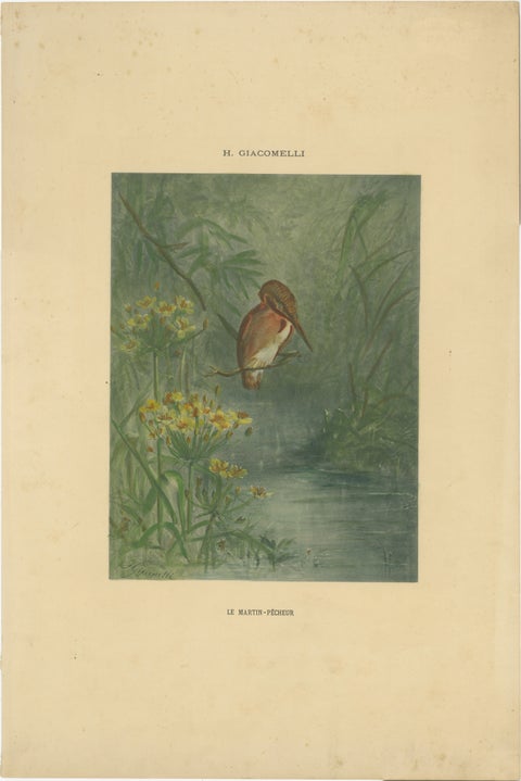 Kingfisher by the Water's Edge - Giacomelli’s Tranquil Nature Scene, Circa 1891, view 2