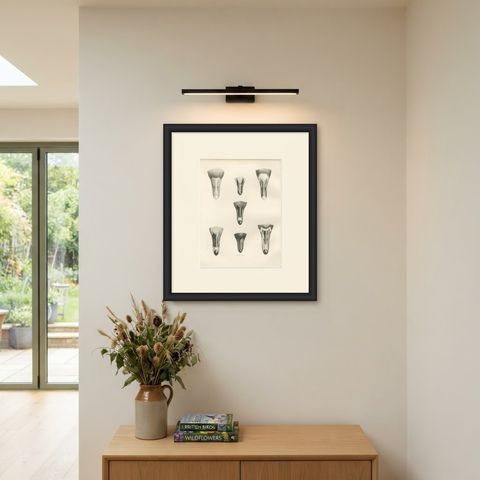Heads of the Wild Geese, Antique Bird Print after Lilian Medland, circa 1909, shown framed on a wall