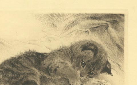 Charming Kitten Etching by Kurt Meyer-Eberhardt, Estate Edition 1977, close-up 2