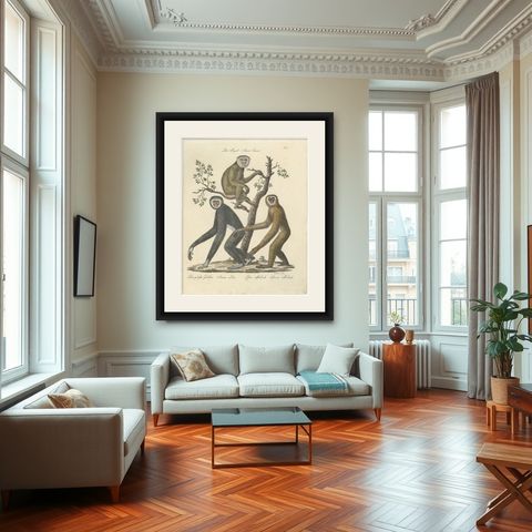 Antique Gibbons & Monkeys Lithograph by Karl Joseph Brodtmann, 1816, shown framed in a room