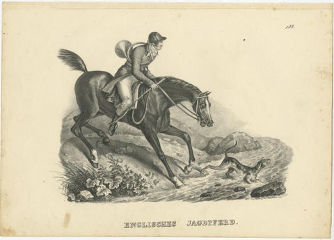 Antique Print of an English Hunting Horse, view 2