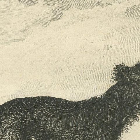 Antique Print of a Sheepdog by De Seve, c.1780, close-up 2