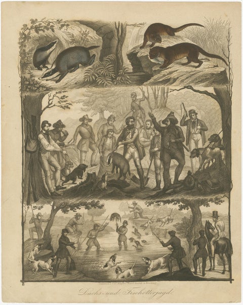 Badger and Otter Hunt, Antique German Engraving, circa 1840, view 2