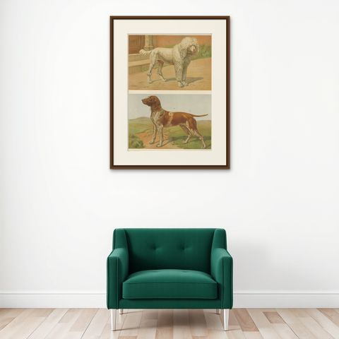 Poodle and Hound, Large Antique Dog Poster by Briedwiser, c.1880, shown framed on a wall