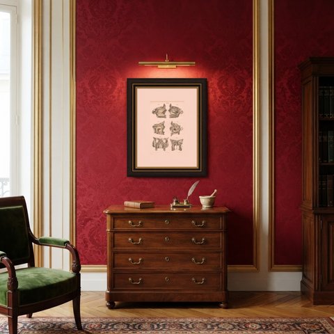 The Bony Nasal Cavity, Antique Hirschfeld Anatomy Print, 1866, shown framed in a room