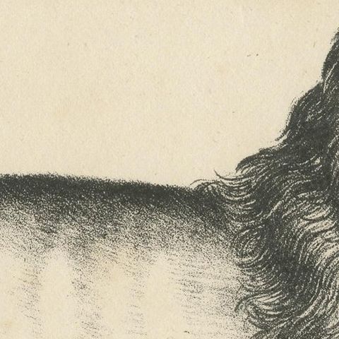 Antique Print of a Senegal Lion, close-up 1