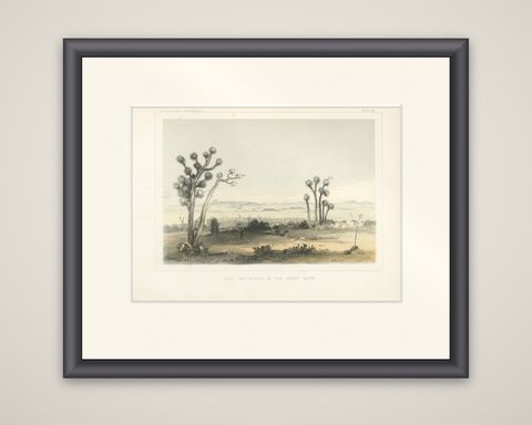 Lost Mountains in the Great Basin with Desert Flora - Mohane, California, 1856, shown framed