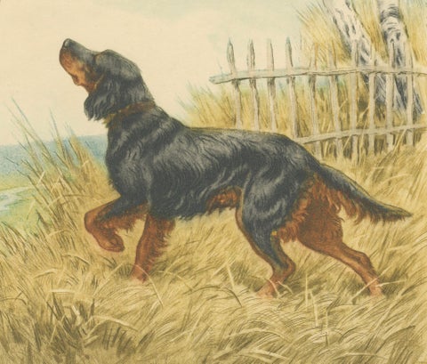 Vintage Lithograph “Setter and Pheasant” by Paul Wood, New York, 1930s, close-up 3