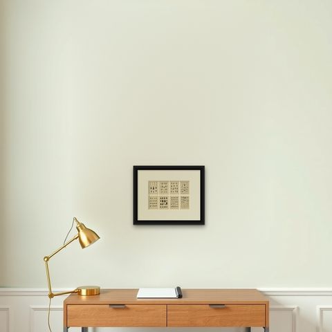 Decorative Antique Beetle Prints, European Coleoptera Plates, Entomology 1893, shown framed on a wall