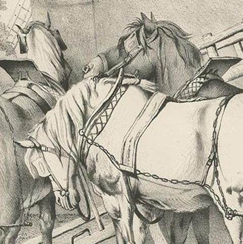 No. 20 Antique Print of Horses by Cooper, close-up 2