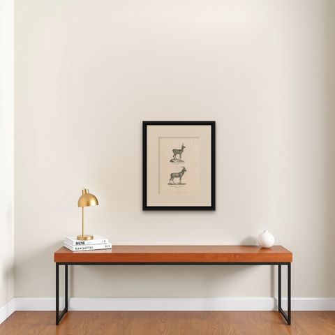 Antique Print of Antelopes by Schinz 'c.1830', shown framed on a wall