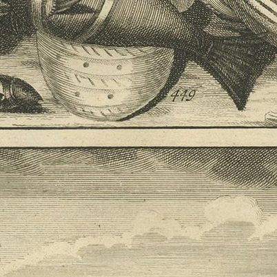 Antique Print of Fish Species 'no. 449' by Valentijn '1726', close-up 2