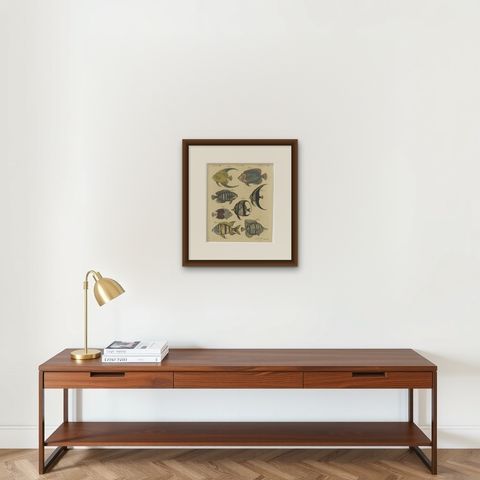 Angelfish, Butterflyfish and Moorish Idol, Antique Bertuch Print, circa 1805, shown framed on a wall