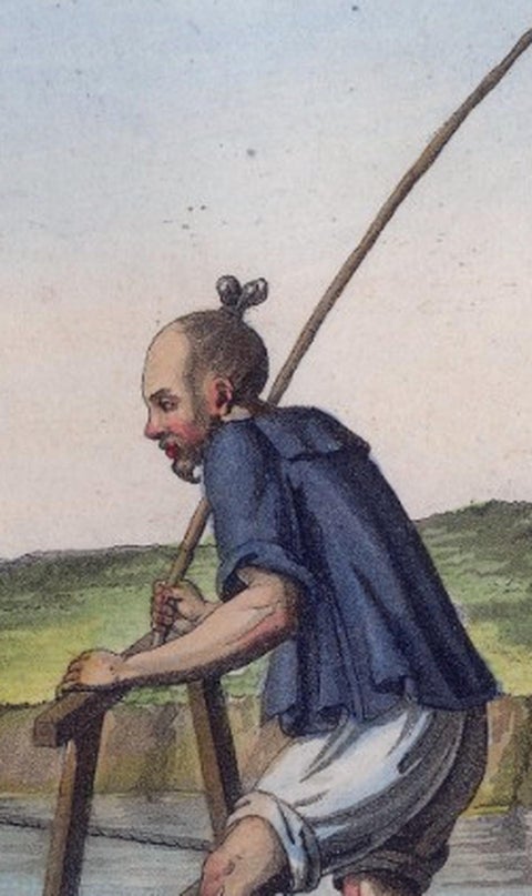 Chinese Farmer with Water Buffalo, Agricultural Scene, Ferrario Print of 1815, view 10