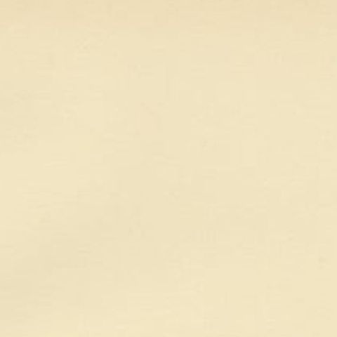 Antique Bird Print of the Dunnock by Von Wright, 1927, close-up 1