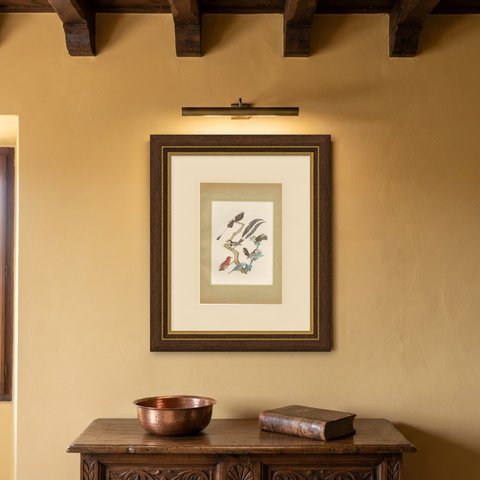 Racket-Tailed Motmots and Kingfishers, Brazilian Bird Print, Descourtilz, 1944, shown framed on a wall