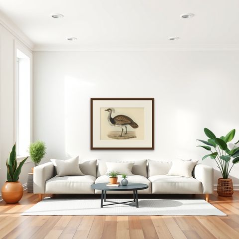 Antique Hand-Coloured Bird Print of the Ruffed Bustard, 1832, shown framed in a room