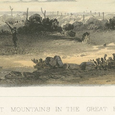 Lost Mountains in the Great Basin with Desert Flora - Mohane, California, 1856, close-up 1