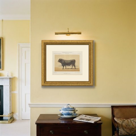 Schwyz Bull, Swiss Brown Cattle Chromolithograph by Olivier de Penne, 1863, shown framed on a wall