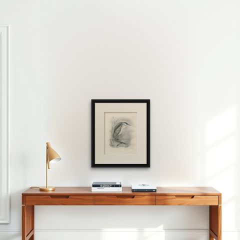 Night Heron, Antique Bird Print after Lilian Medland, circa 1909, shown framed on a wall