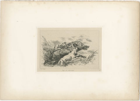 Dogs Attacking a Wild Boar, Dramatic Sporting Etching by J.F. Tayler, 1872, view 2