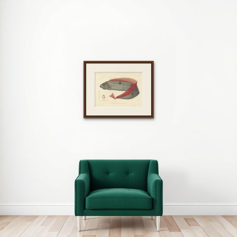 Antique Ribbonfish Print, Hand-Colored Lithograph of Trachypterus Bogmarus 1845, shown framed on a wall
