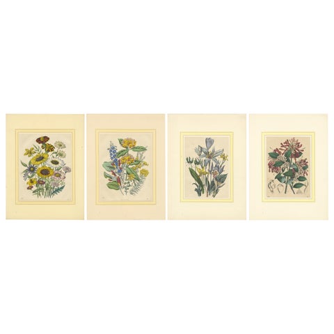 Set of Four Colorful Botanical Flower Prints from Book of Worlds, circa 1850