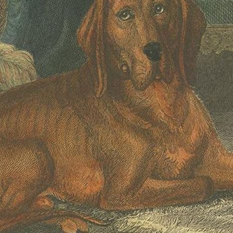 Antique Print of a Hound Dog by Pittman, 'circa 1835', close-up 1