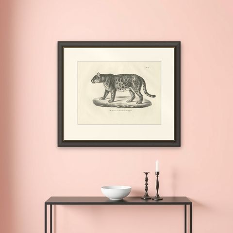 19th-Century Lithograph of the Jaguar, Also Known as the American Tiger, shown framed on a wall