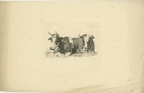 Tranquil Pastoral Scene with Two Resting Cows, by Anthony Oberman in 1810, view 2